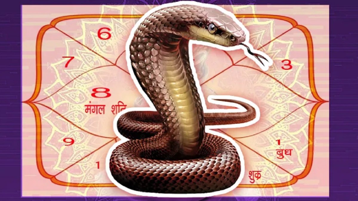 Kaal Sarp Yog Shanti